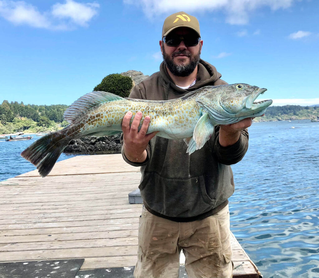 Lingcod and Rockfish Charters