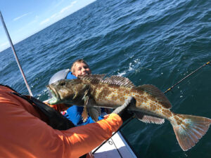 Beautiful greenling shown as young angler smiles from behind. Blue lingcod is another name they go by.